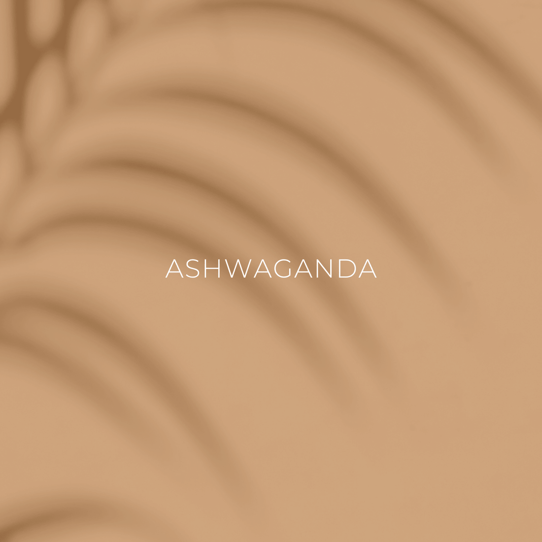 Ashwagandha: Wirkung, Dosierung & was Studien wirklich zeigen - phytokraft.de