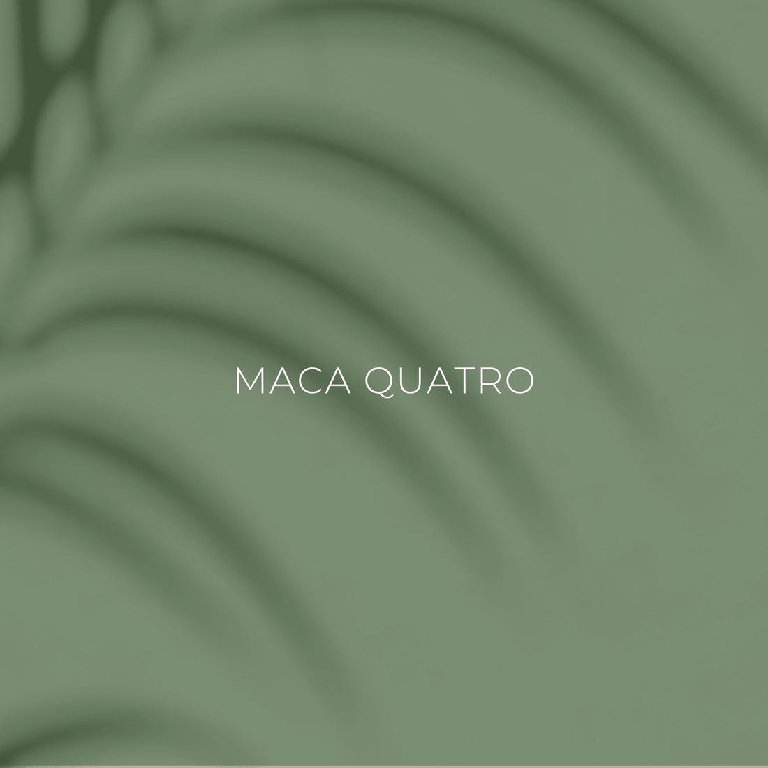 Maca Quatro: Natürlich gegen Müdigkeit, Libidoverlust und Hormonchaos - phytokraft.de
