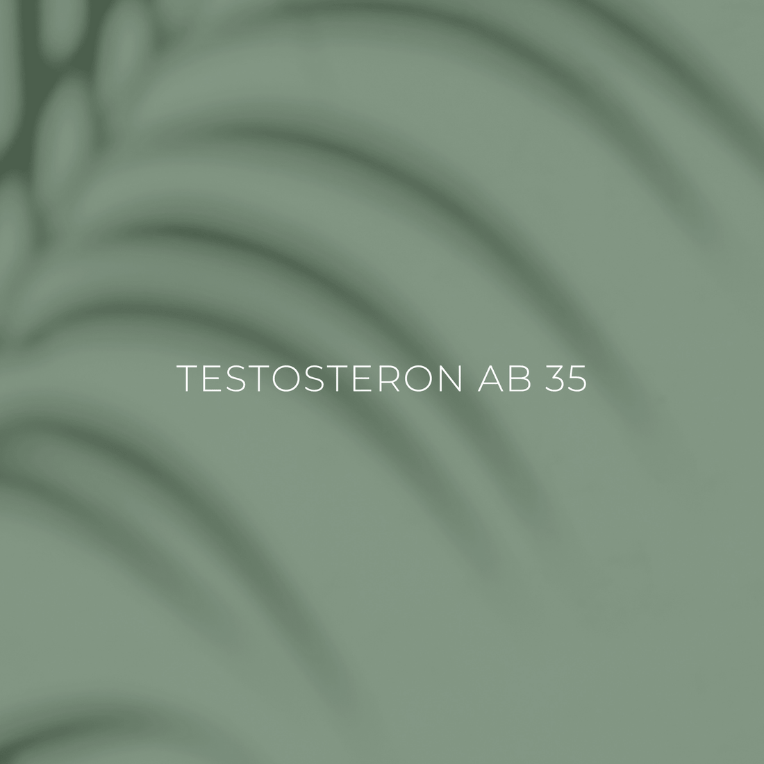 Testosteron ab 35: Warum Männer nachlassen und was wirklich hilft - phytokraft.de