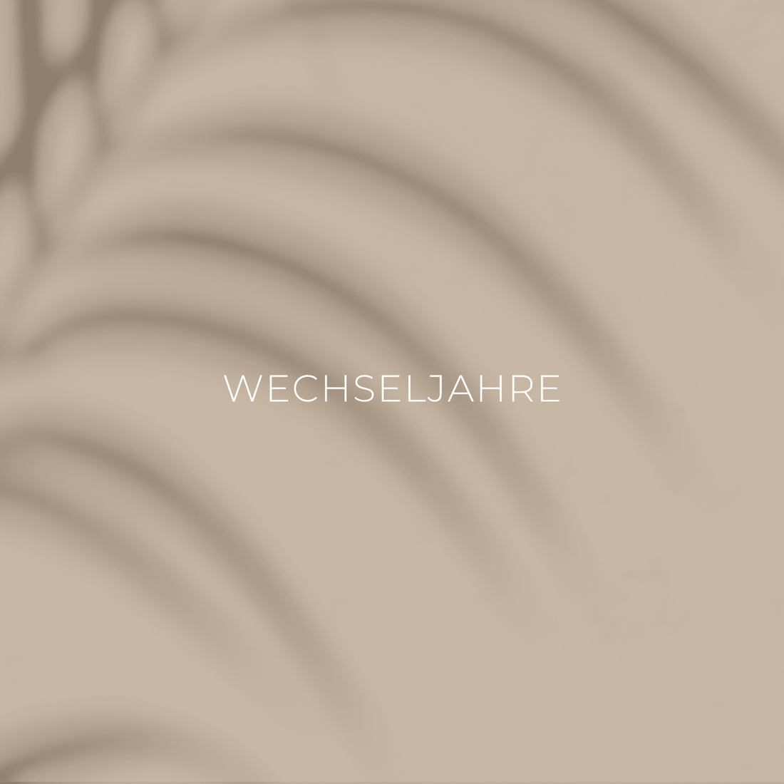 Wechseljahre: Die ersten Anzeichen und was wirklich hilft - phytokraft.de