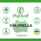 Chlorella 180 Kapseln