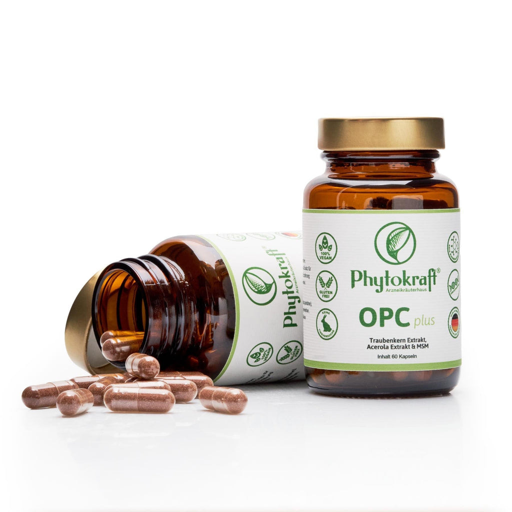 OPC Acerola MSM - phytokraft.de